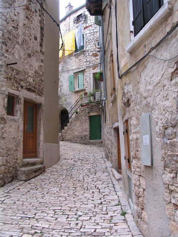 2012-09-13 12-59-59 Ludo.JPG